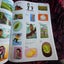 The Maori picture dictionary Carousel 7