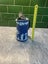 Wedgwood jug Carousel 3