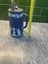 Wedgwood jug Carousel 4