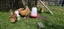 Chicken Carousel 1
