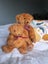 Robin Rive Vintage Teddy Bear Carousel 3