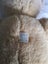 Vintage Teddy Bear Carousel 6