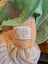 1992 Cabbage Patch Crimp N' Curl set Carousel 3