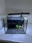 Betta Duo Fish Tank Aquarium Carousel 1