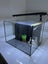 Betta Duo Fish Tank Aquarium Carousel 2