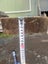 1.41 m 1st Grade Black Maire Timber – 150 × 52 mm Carousel 5