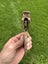 Rusty vintage Kent pattern axe/ hatchet head (for restoration). English made Carousel 5
