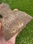 Rusty vintage Kent pattern axe/ hatchet head (for restoration). English made Carousel 10