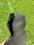 Restored vintage “Sheffield” stamped Kent axe/ hatchet head. Carousel 6