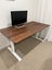 Stand Desk Carousel 1