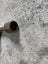 Vintage t socket wrench Carousel 3
