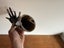 Old mannequin hand Carousel 3