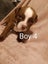French Bull Mastiff x American Bulldog x Bully Carousel 2