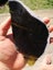 $1 reserve Pounamu greenstone translucent thin carving Slab Carousel 3
