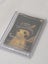 Pikachu with Grey Felt Hat (SVP-085) Sealed Ungraded Carousel 3