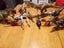 Dinosaur bulk one Carousel 1