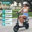 Brand New 300W electric scooter Carousel 6