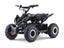 Kids Mini Quad Bike 800W Electric Black Carousel 3