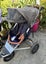 Mountain buggy urban jungle Carousel 7