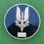 Special Air Service REGIMENT Challenge Coin Depicts VIKING Warrior "STRANDHOGG" Carousel 2