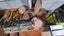 Wood Lathe and Much Much more Carousel 4