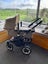 Bugaboo Buffalo Classic+ Carousel 1