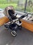 Bugaboo Buffalo Classic+ Carousel 5