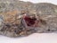 Stones rocks polished stones. Garnet in a rock Carousel 8