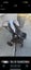 bacani pram Carousel 3