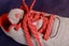 ADIDAS WOMENS SHOES RUNNING TRAINING SHOE "AFTERPAY"AS NEW "BIG SALE" SIZE 6 $39 Carousel 14