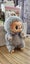 Labubu - Exciting Macaron Pop Now Carousel 3