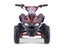 Kids Mini Quad Bike 800W Electric Red Carousel 2