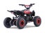 Kids Mini Quad Bike 800W Electric Red Carousel 7
