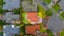 gallery view thumbnail