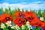 ART painting Landscape Oil New original Ocean Poppy 20x20cm Carousel 8
