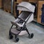 NUNA Trvl Stroller - Cedar Carousel 1