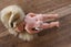 Vintage Mini Cabbage Patch Doll - Blonde Hair, Blue Eyes 2003 Carousel 5