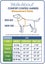 Four Paws Walk-About Comfort Control Harness - No Pull Dog Harness Carousel 2