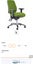 Buro Roma 24/7 executive high back chair - SS green Carousel 2