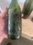 Old green bottle collection Carousel 7