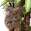 NNEOBA Cute Realistic Three-Toed Sloth Plush Carousel 3