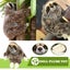 NNEOBA Cute Realistic Three-Toed Sloth Plush Carousel 4