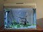90L fish tank Carousel 2