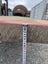 Totara Slab – 376 × 100/90/80 × 7.5 cm Carousel 4