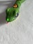 Pet snake Carousel 2
