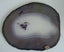 Agate Slices Geological Specimens from Brazil Carousel 2