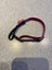 Cat collar Carousel 14
