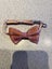 Cat collar Carousel 16