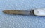 Mother of Pearl pocket knife (Gibberson England) …Auction 4 of 4 Carousel 7