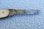 Mother of Pearl pocket knife (Gibberson England) …Auction 4 of 4 Carousel 13